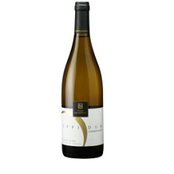 Oppidum Château La Negly