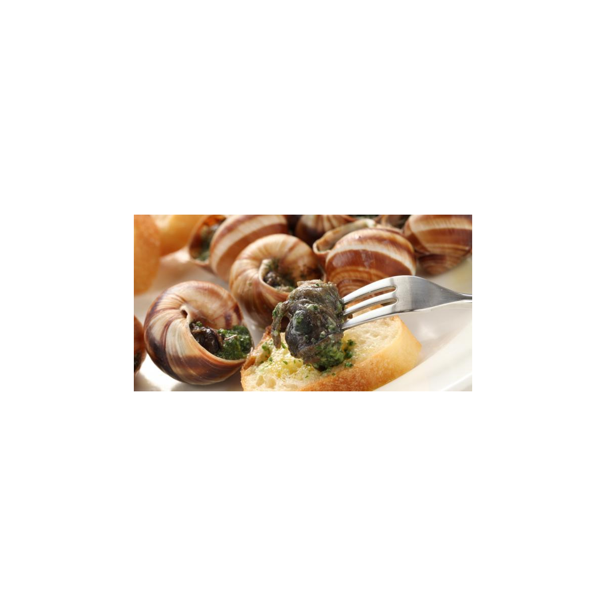 Escargot farçis (douzaine)