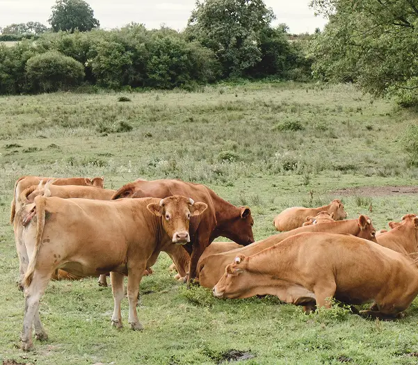 Démarche responsable